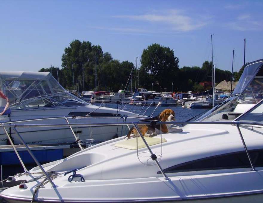 Jachthaven marina kerkdriel